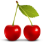 http://cdn5.iconfinder.com/data/icons/fruits/64/Cherry64.png